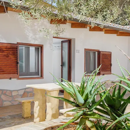 Elia's House
